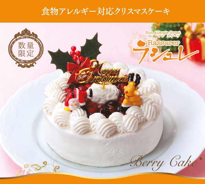 食物アレルギー対応クリスマスケーキ