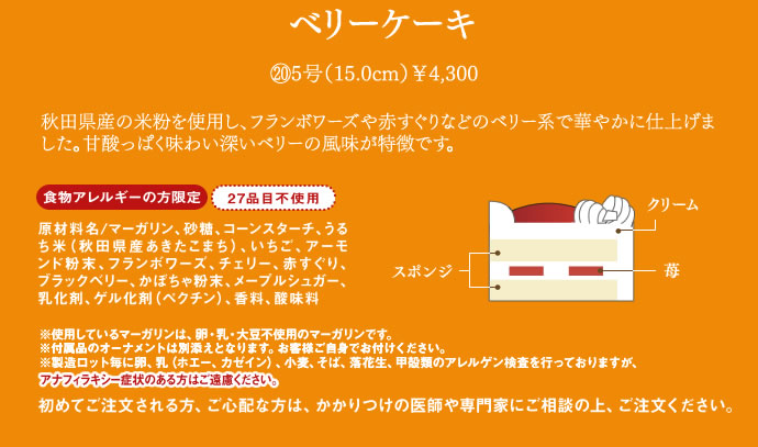 食物アレルギー対応クリスマスケーキ